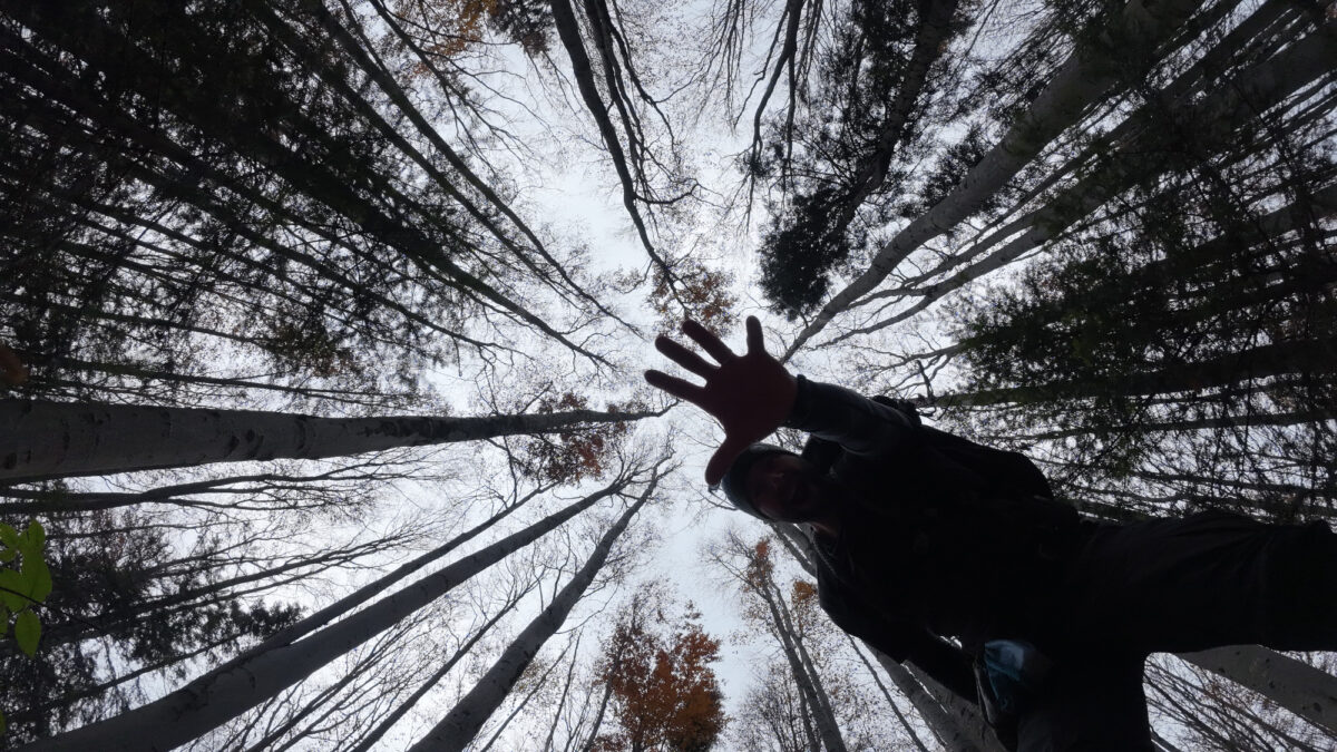 Jesienne Bieszczady (Rabia Skała i szlak graniczny)